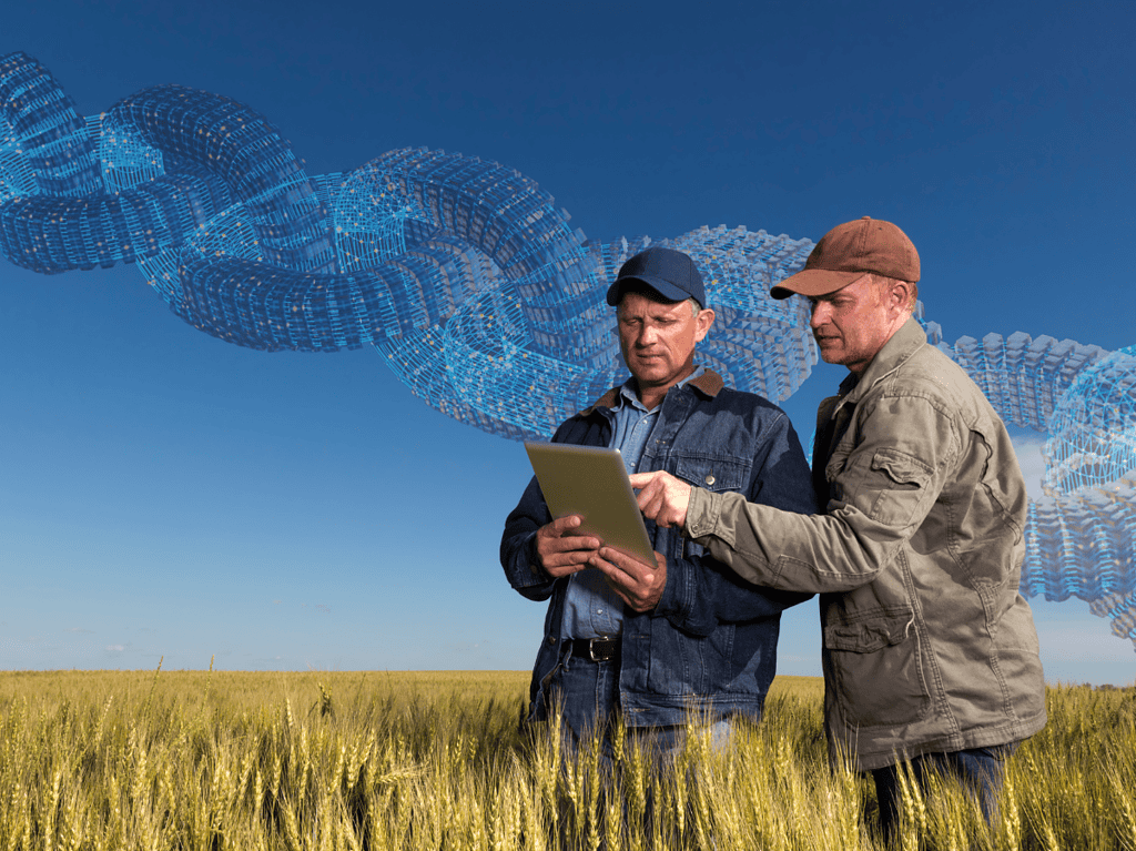 Digital Innovation for America