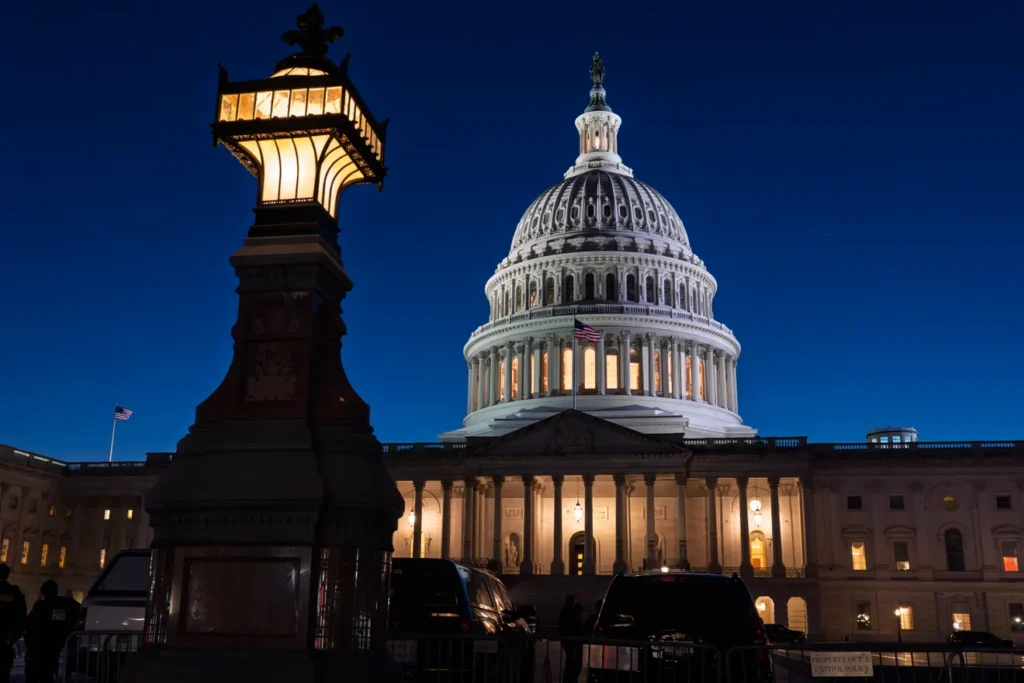 Digital Innovation for America